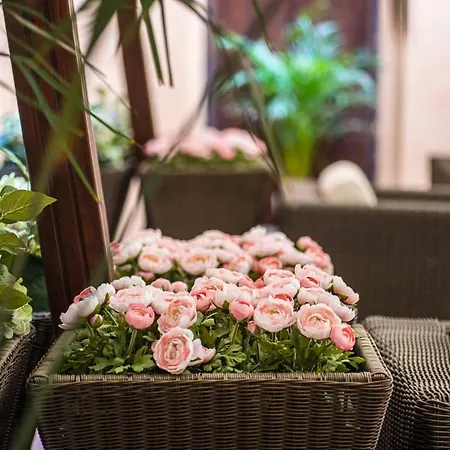 Hotel Cavour 3*