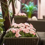 酒店 卡弗尔酒店 3*