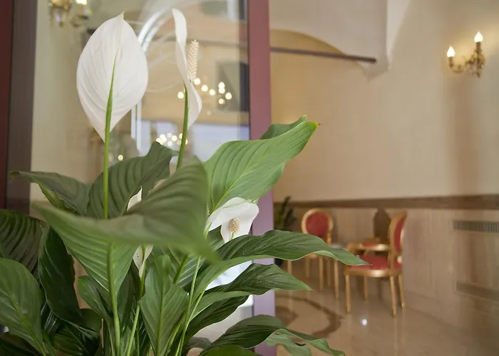 Cavour Hotel 3*