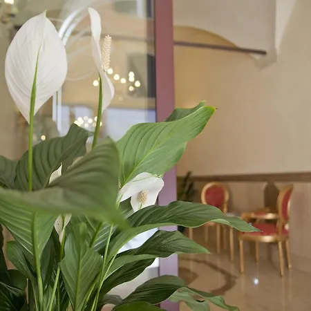 卡弗尔酒店 酒店 3*